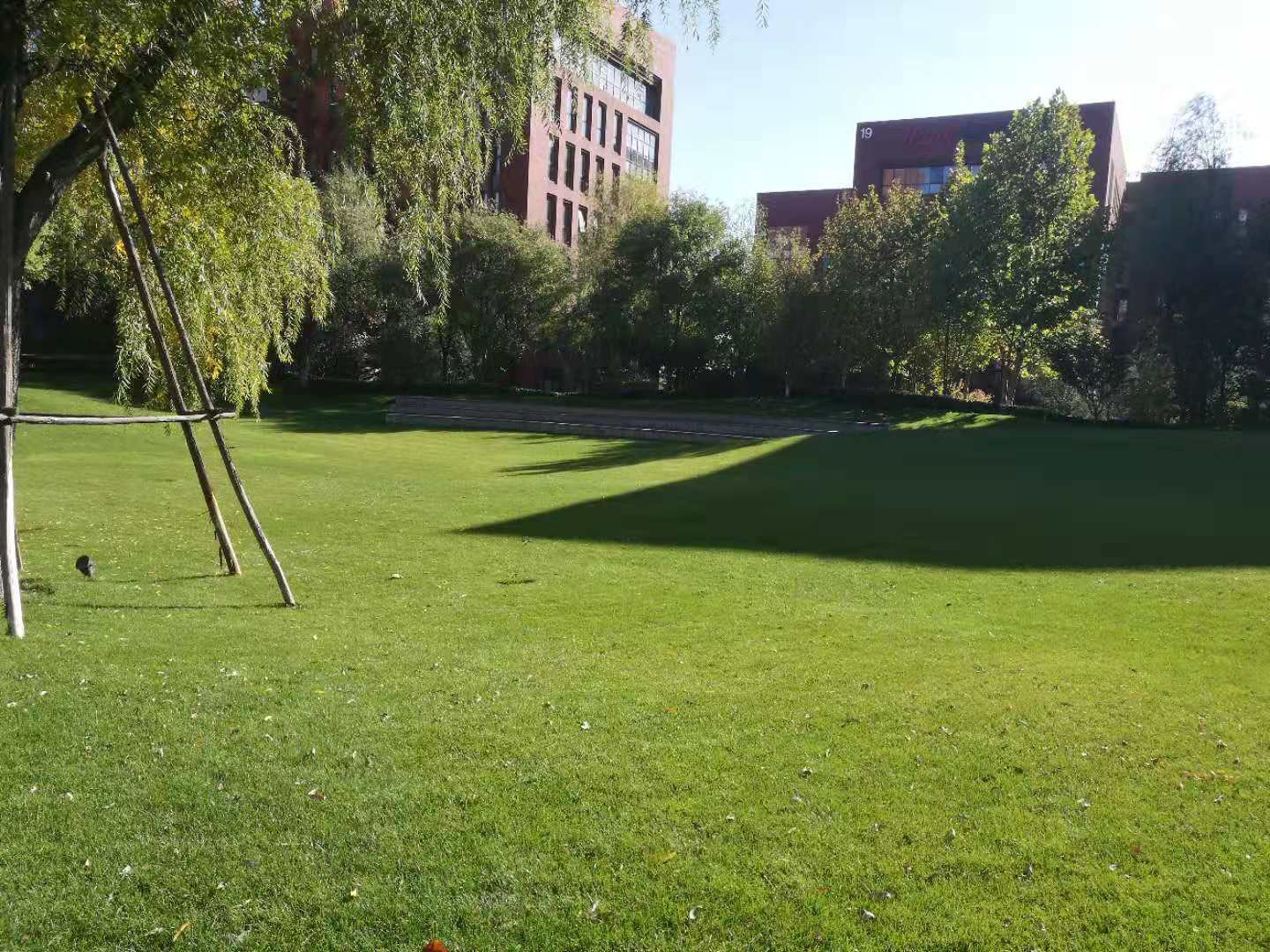 綠地養(yǎng)護(hù)（除草）